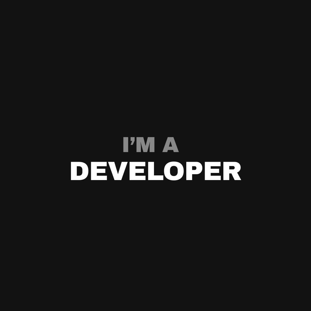 Developer