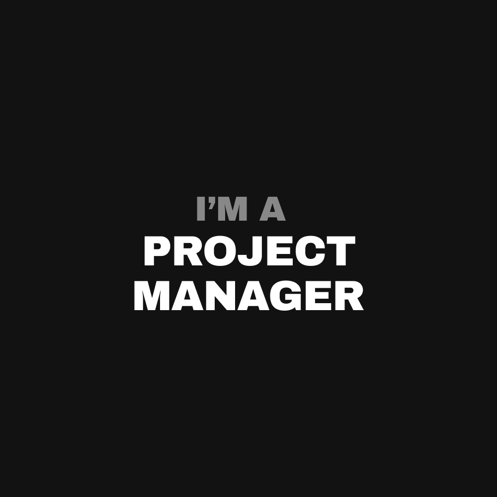 Project Manager